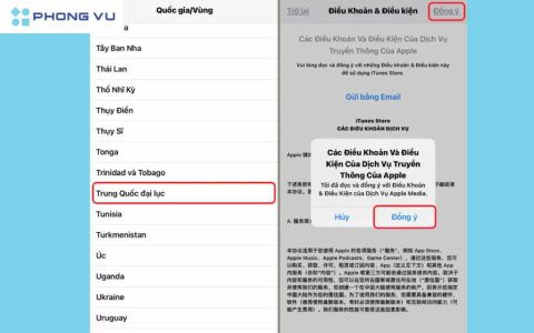 Tải VGVD phiên bản mới 2024 – Hướng dẫn chi tiết từng bước