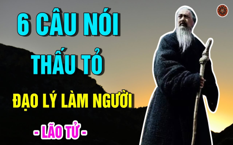 Lão Phu Tử: Từ Triết Lý Lão Tử Đến Bộ Truyện Tranh Hài Hước