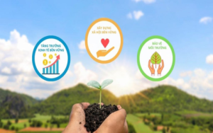 Tiểu mãn là gì? Hướng dẫn đầy đủ về ý nghĩa và các hoạt động trong tiết tiểu mãn