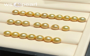 Giá trị của ngọc trong con ngao: Làm sao để biết ngọc thật?